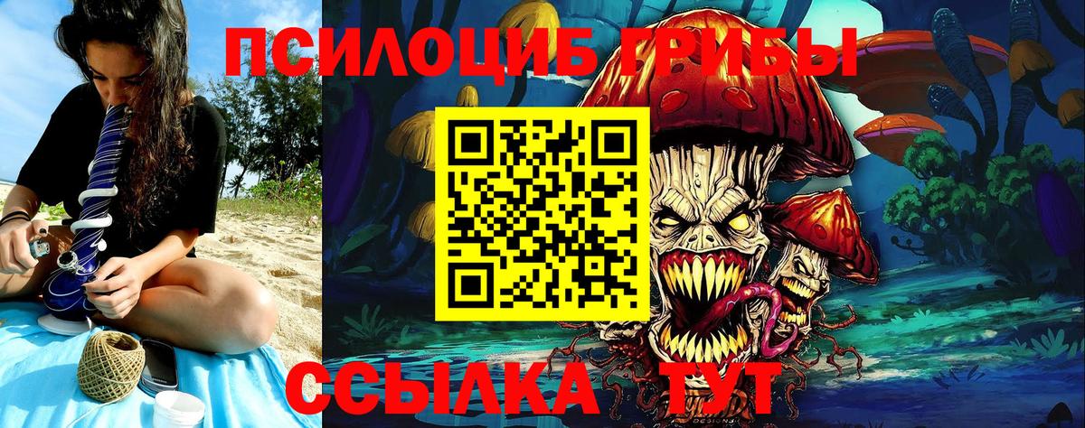 Белгород  Галлюциногенные грибы мицелий  Галлюциногенные грибы Psilocybine cubensis  Вход с VPN 